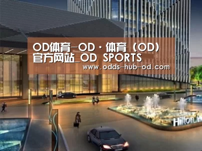 案例展示二
